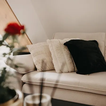 Uniwersytecka 27 - Przestronny Na Wroclawskiej Starowce - 3 Sypialnie, Sauna, Billard - - Fair Vratislav